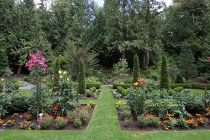 Glen Echo Garden