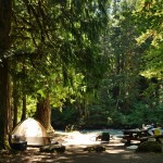 Douglis Fir Campground