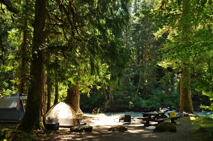 Douglis Fir Campground Douglas Fir Campground