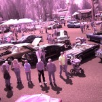 Bellingham Fete birds eye Wilson Motors