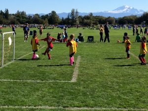 Whatcom Sports and Recreation