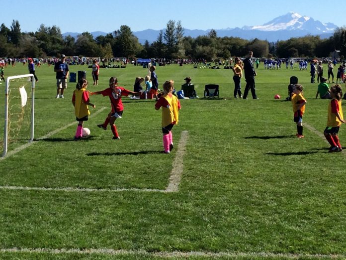 Whatcom Sports and Recreation Phillips 66 Soccer park Whatcom Sports and Recreation