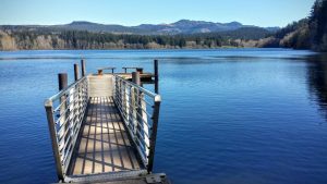 Lake Padden