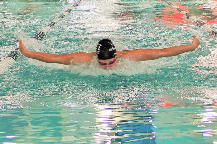 Bellingham Bay Swim Team
