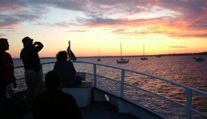 San Juan Cruises