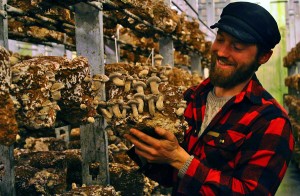 Cascadia Mushrooms