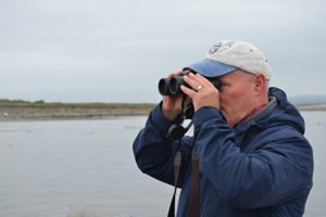 San Juans birdwatching