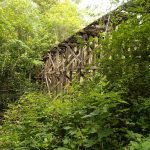 whatcom falls park