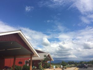 cheese and wine tour