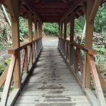 WhatcomTalk- North Lake Whatcom Trail