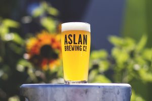 bellingham breweries