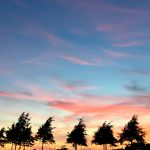 Zuanich Point Park