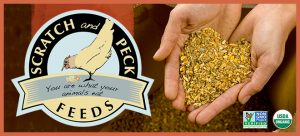 Non-GMO Project Verified