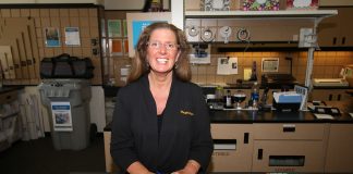 bellingham notary