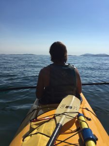 Fiddlehead Tours and Adventures