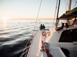 Fiddlehead Tours and Adventures