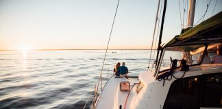 Fiddlehead Tours and Adventures