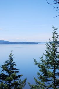 chuckanut drive