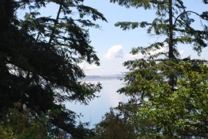 chuckanut drive
