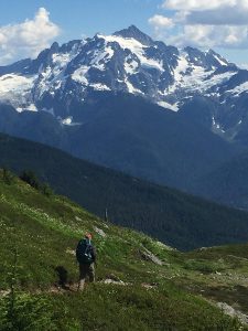 Fiddlehead Tours and Adventures