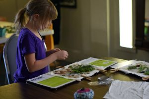 KIDS: Soft Book Camp at Ragfinery @ Ragfinery | Bellingham | Washington | United States