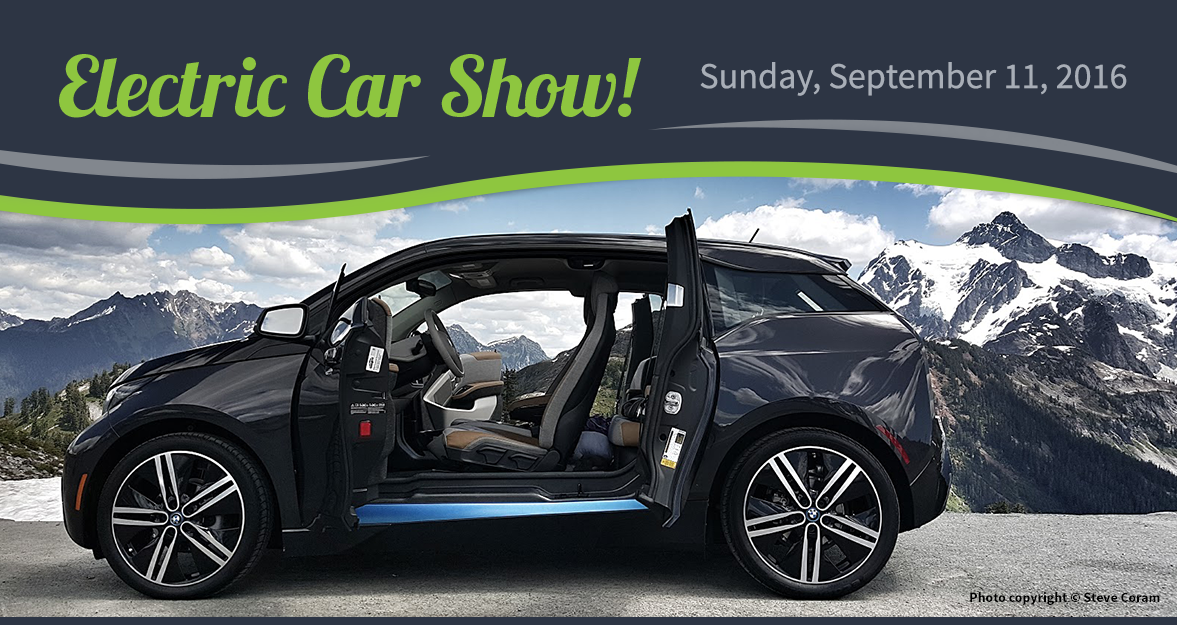 Bellingham Electric Car Show