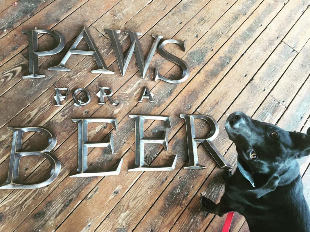 paws for a beer
