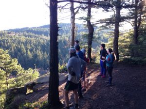 trail running bellingham