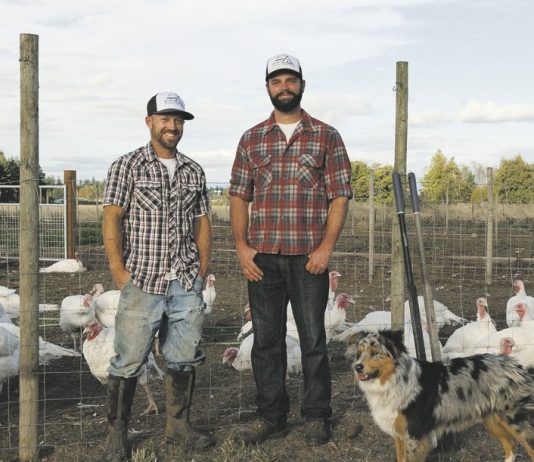 community food co-op