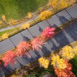 fall colors cordata neighborhood