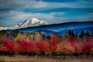 mount baker