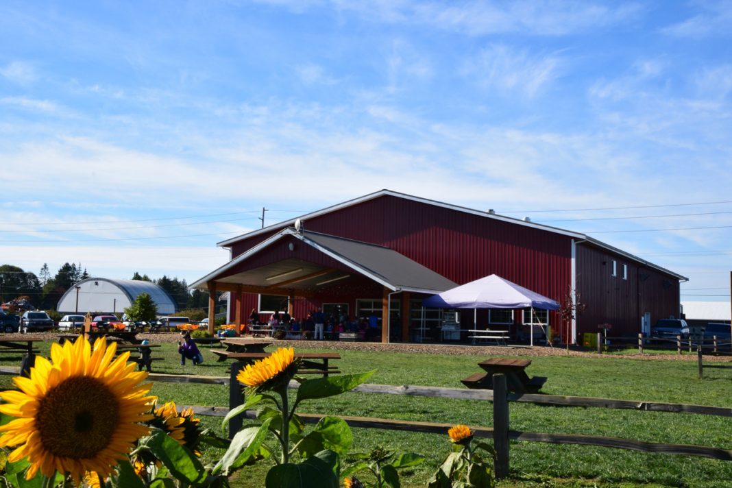 Bellewood Acres Father's Day on the farm