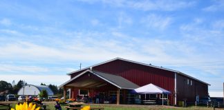 Bellewood Acres Father's Day on the farm
