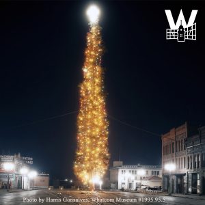 The world's Tallest Tree was once set up in downtown Bellingham. Photo credit: Harris Gonsalves, Whatcom Museum.