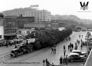 The world's tallest Christmas tree of 1949 traveled by two trucks to get to downtown Bellingham. Photo courtesy: Jack Carver, Whatcom Museum.