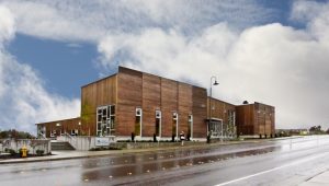 Bellingham Ukulele Orchestra Holiday Concert @ WCLS Ferndale Library | Ferndale | Washington | United States