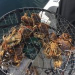 full-crab-pot, crab, basket