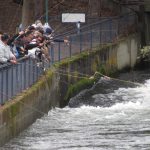 fishing-competition-men-river-fish