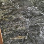 Fish-salmon-spawn-water-river