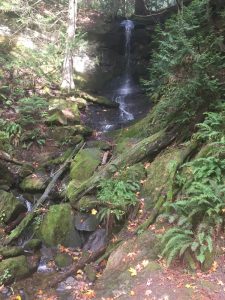 There are many breathtaking trails around Whatcom Country. Photo credit: Lila Steffan.