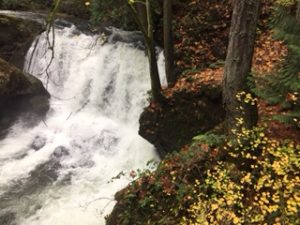 The sound of rushing water enhances any hike. Photo credit: Lila Steffan.