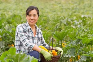 Learn to Grow a Vegetable Garden @ WCLS North Fork Library | Maple Falls | Washington | United States