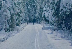 Nooksack Nordic Ski Club Meeting @ Garden Street Methodist Church | Lake City | Minnesota | United States