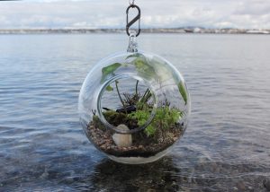 Holiday Open House @ Morrison Glass Art | Bellingham | Washington | United States