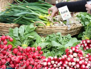 In Whatcom County, we truly have some great farms. We can look forward to ripe berries, delicious apples, sweet smelling lavender and a bounty of veggies to choose from. Head out on a farm tour this year or find our farms wares at the Bellingham Farmers Market. Photo credit: Theresa Golden.