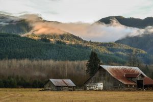 Carol Kilgore captured this perfect moment driving along Mount Baker Highway. Photo credit: Carol Kilgore.