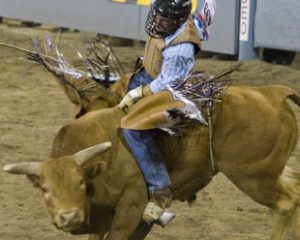 Laurel Farm & Western Supply Hell on Hooves Rough Stock Rodeo @ Northwest Washington Fair & Event Center | Lynden | Washington | United States