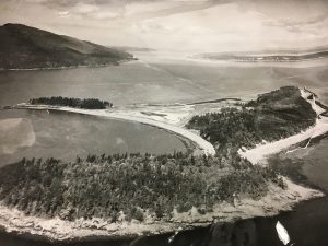 Eliza Island looked like this before development and the Pacific American Fisheries Company. Photo courtesy: Gordon Tweit.