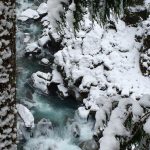 snow-winter-scenic-nature