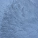 snow-winter-scenic-nature